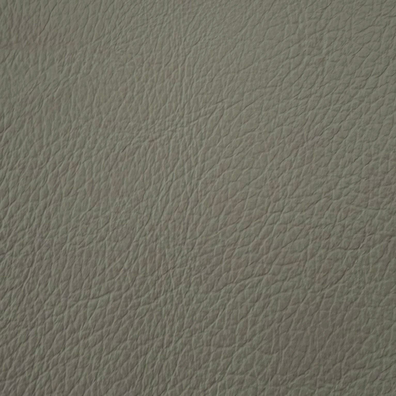 O-0808