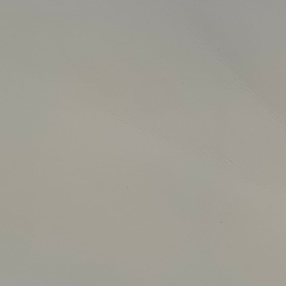 FS750