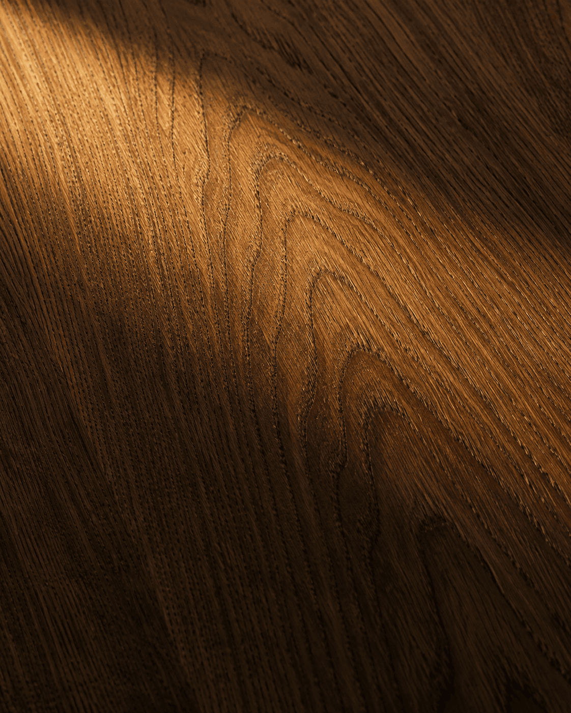 European Oak