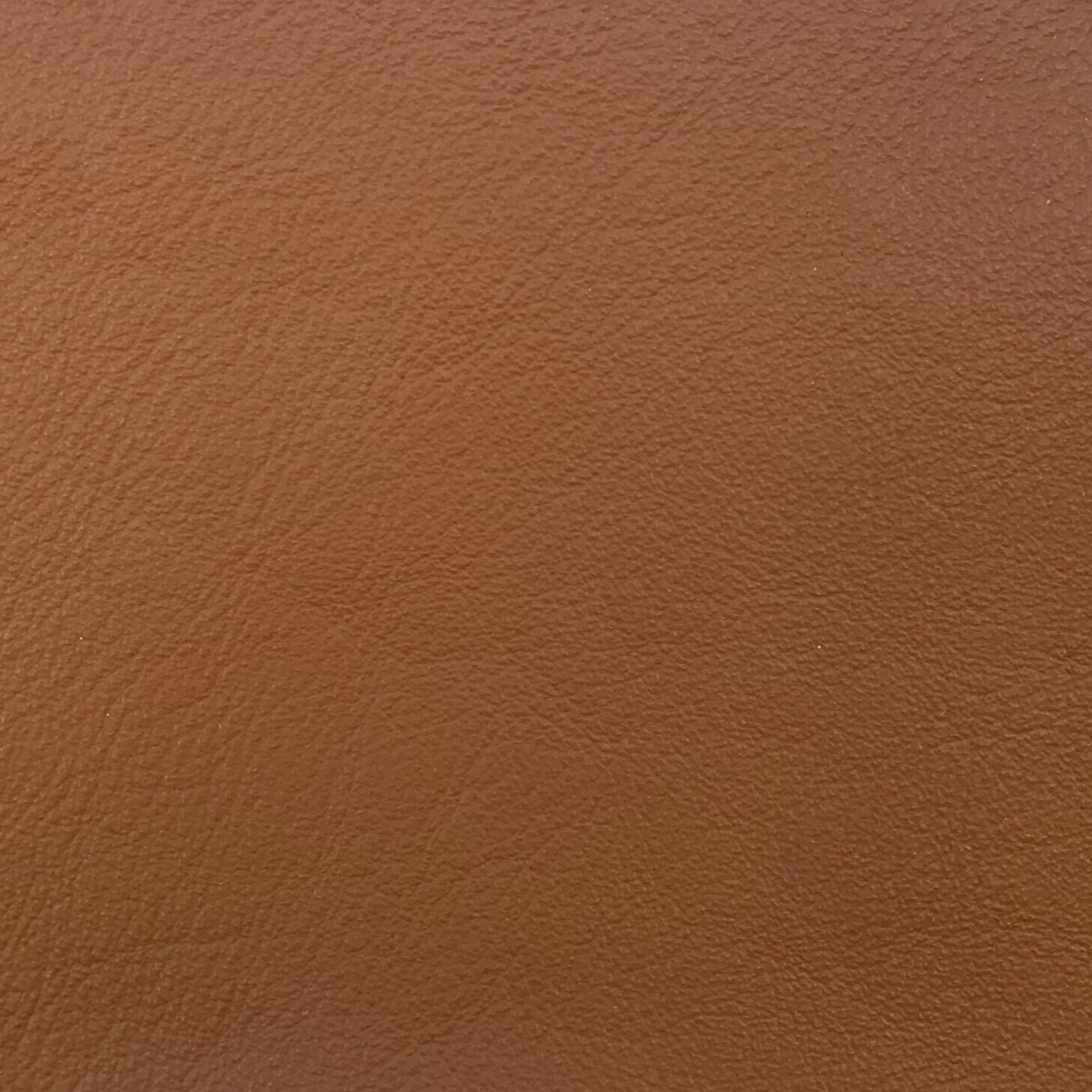 LV06