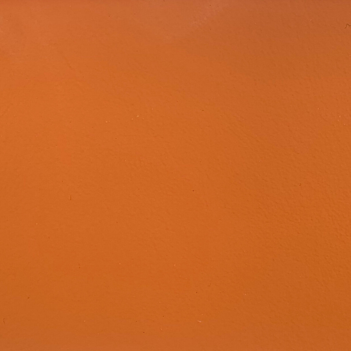 FS748
