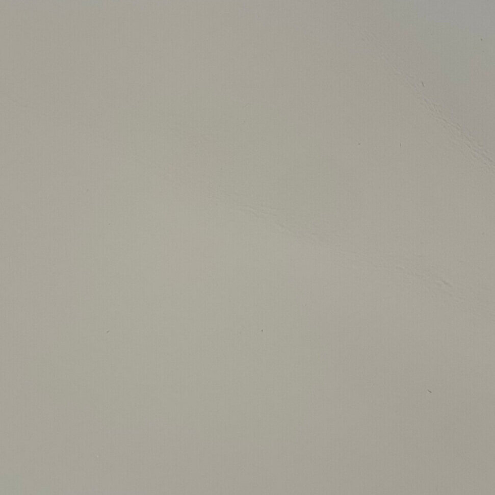 FS751
